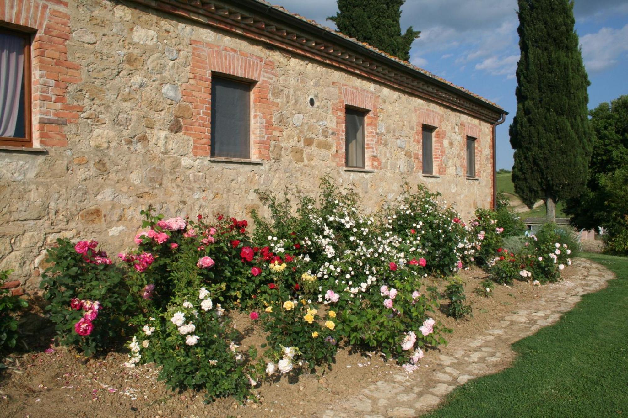 Agriturismo Bagnolo Pienza Ngoại thất bức ảnh